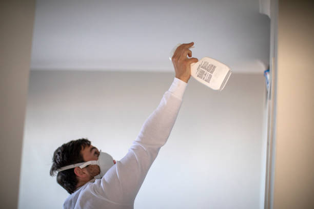 Attic Mold Removal in Captain Cook, HI