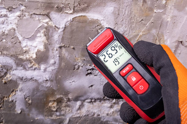 Best Water Damage Restoration  in Captain Cook, HI