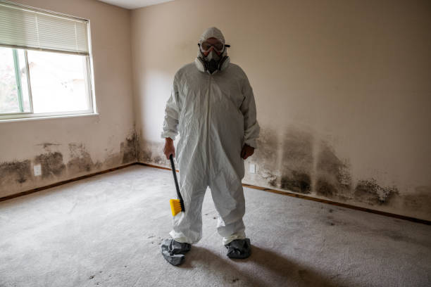 Best Mold Damage Repair  in Captain Cook, HI